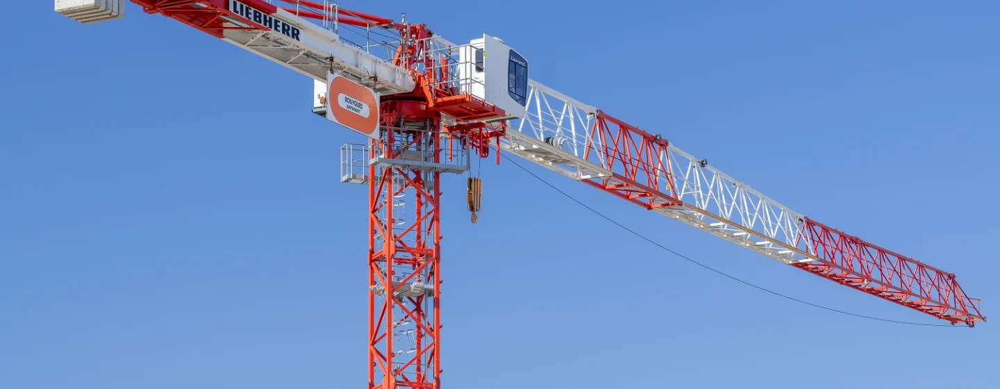 LIEBHERR JAPONYA