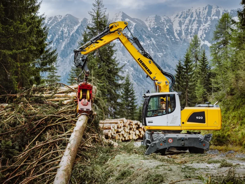 920 Litronic görseli 4