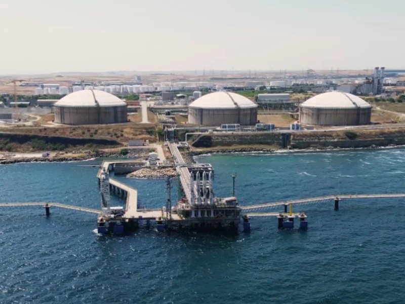 Marmaraereğlisi LNG Terminali 4. LNG Tankı Projesi